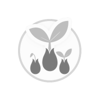 Гербіцид Пріоритет 10л.