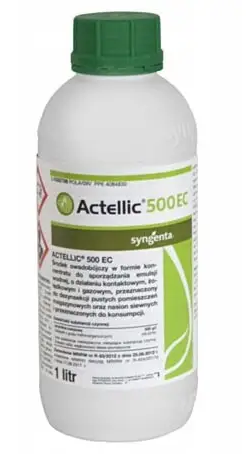 Кейт Самбука суреті